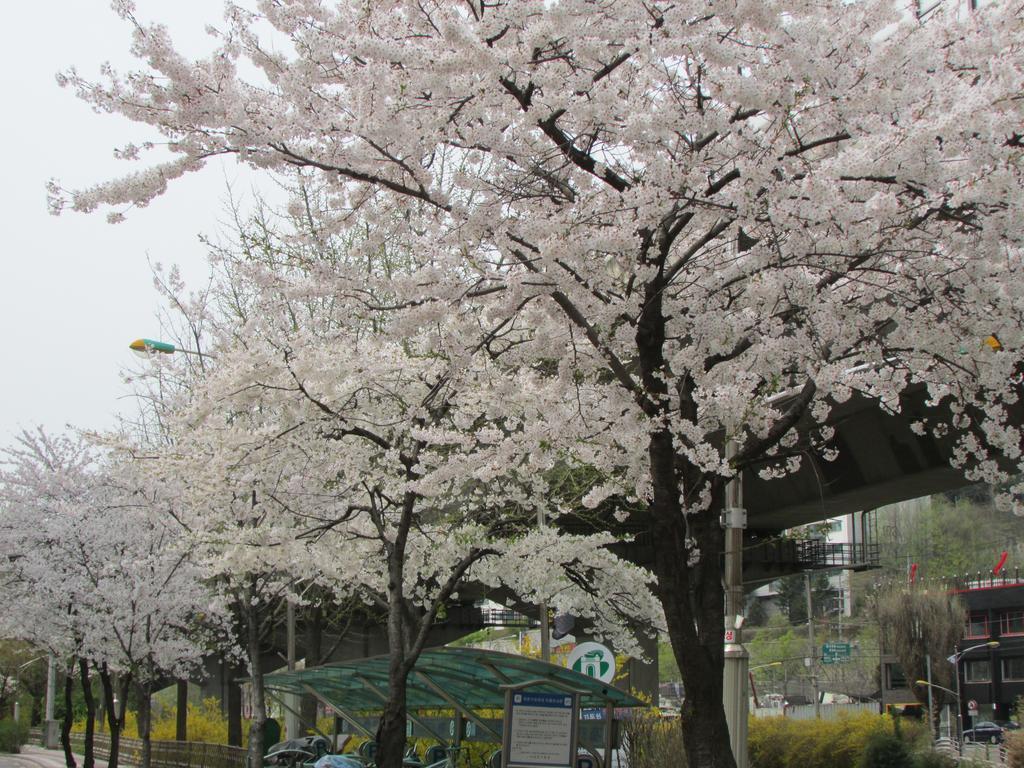 Yeon Guesthouse Seoul Eksteriør bilde